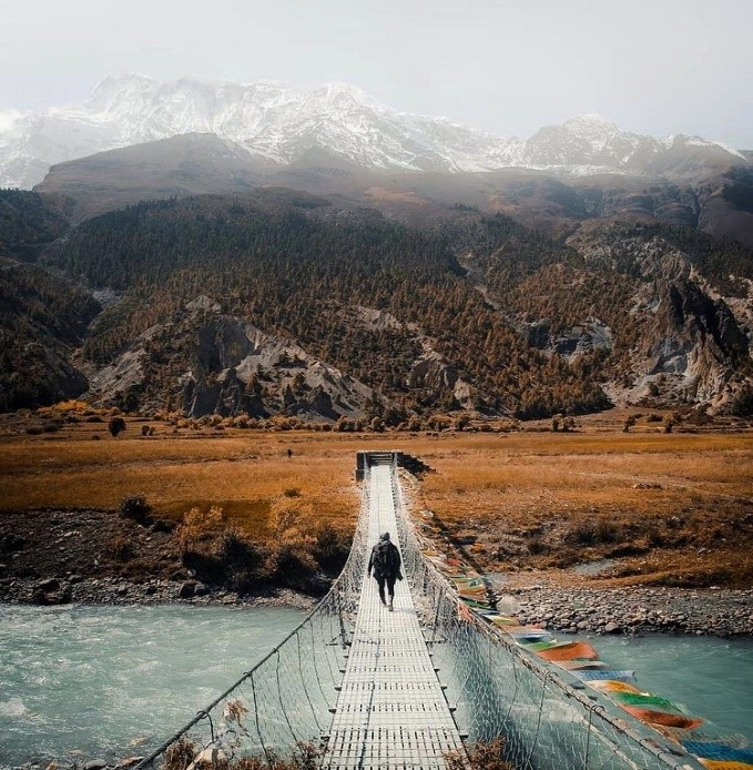 Trekkers hiking along the Annapurna Circuit trail with snow-covered Himalayan peaks in the background