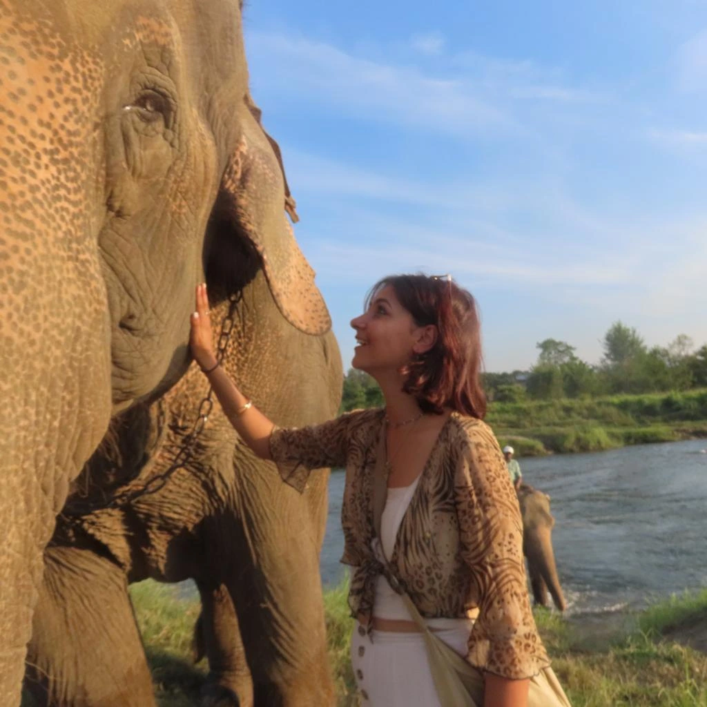 Jungle safari wildlife tour in Nepal exploring tropical forests and national parks with elephants in their natural habitat