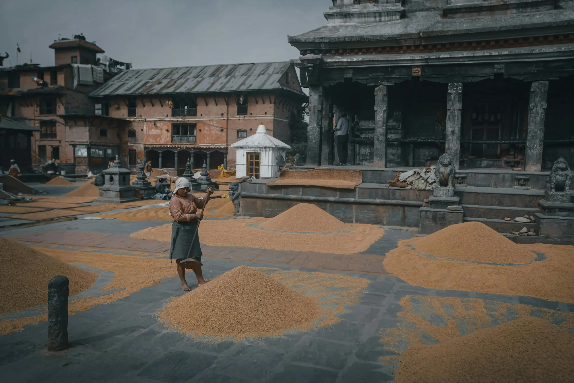 Traditional grain processing practice in a rural village of Nepal using manual methods